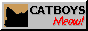 catboys!